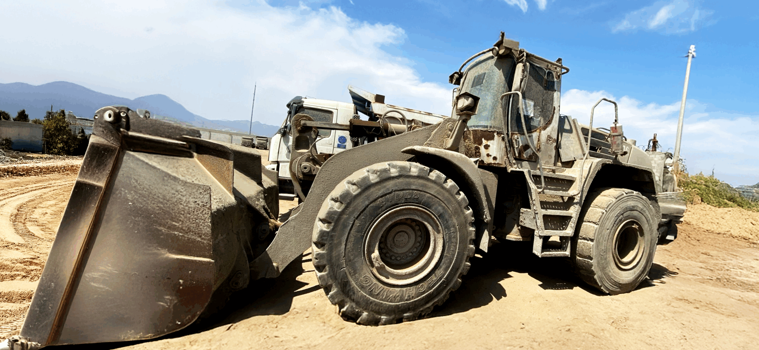 Cargador Frontal Liebherr L566